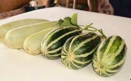 网红免费吃瓜群,揭秘网红圈内的神秘社交圈 第1张 网红免费吃瓜群,揭秘网红圈内的神秘社交圈 第1张